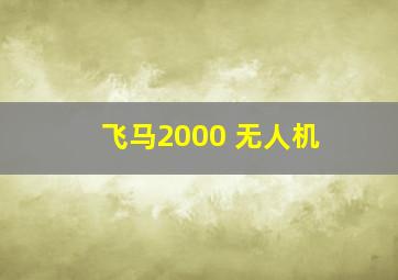 飞马2000 无人机